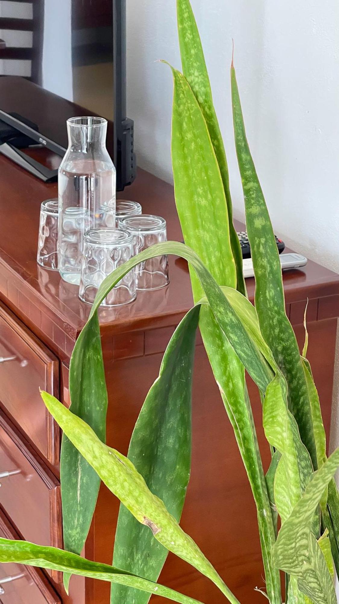 סאן בלאס Quinta Alberto Boutique Hotel חדר תמונה