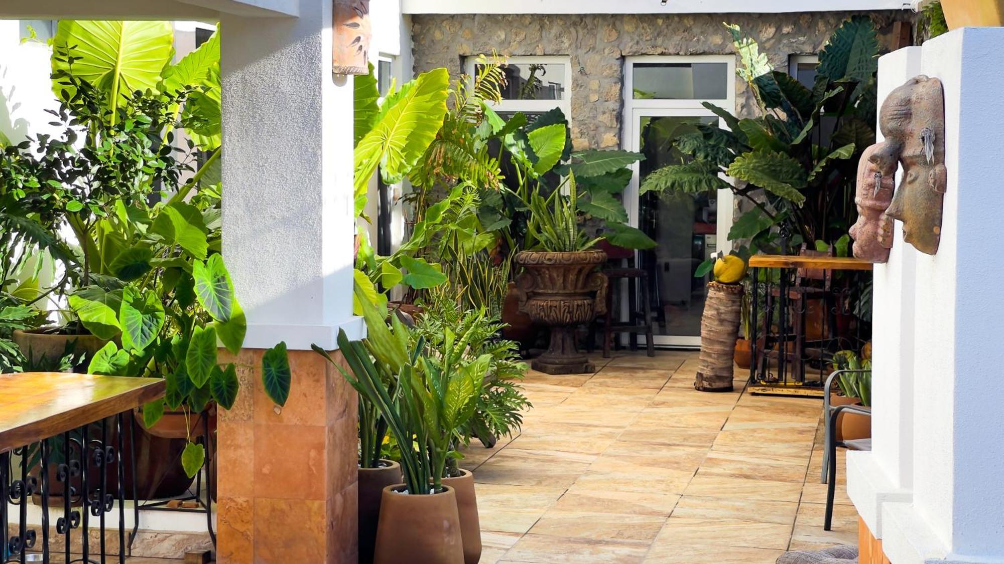סאן בלאס Quinta Alberto Boutique Hotel מראה חיצוני תמונה